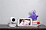 Видеоняня Motorola MBP853 Connect